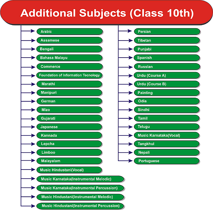  Class 10th Additional Subjects CBSE PORTAL CBSE ICSE NIOS JEE 